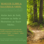 Ressentir, Écrire & Illustrer au jardin